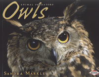 Book Cover for Owls by Sandra Markle