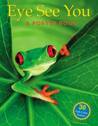 Book Cover for Eye See You by Workman Publishing