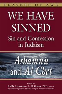 Book Cover for We Have Sinned by Lawrence A Hoffman