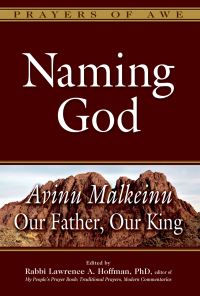 Book Cover for Naming God by Lawrence A Hoffman