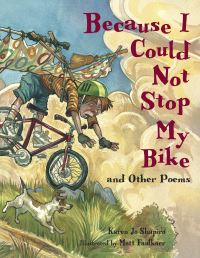 Book Cover for Because I Could Not Stop My Bike by Karen Jo Shapiro