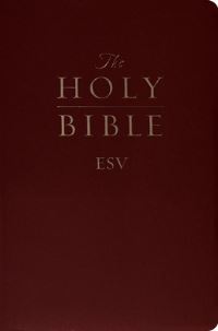 Book Cover for The Holy Bible by 