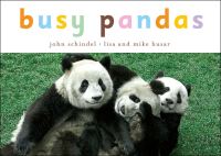 Book Cover for Busy Pandas by John Schindel, Lisa Husar, Mike Husar