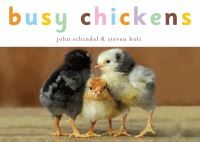 Book Cover for Busy Chickens by John Schindel, Steven Holt