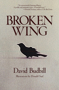 Book Cover for Broken Wing by David Budbill