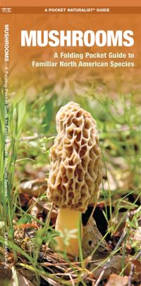 Book Cover for Mushrooms by James Kavanagh