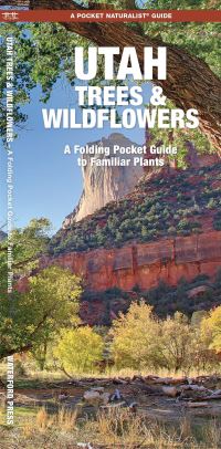 Book Cover for Utah Trees & Wildflowers by James Kavanagh, Waterford Press