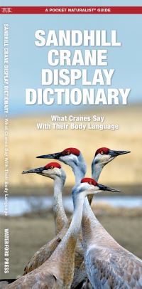 Book Cover for Sandhill Crane Display Dictionary by George Happ, Waterford Press