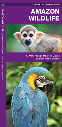 Book Cover for Amazon Wildlife by James Kavanagh, Waterford Press