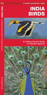 Book Cover for India Birds by James Kavanagh, Waterford Press