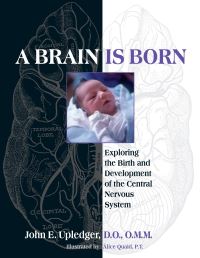 Book Cover for A Brain Is Born by John E Upledger