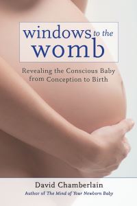 Book Cover for Windows to the Womb by David B Chamberlain