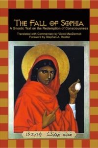 Book Cover for The Fall of Sophia by Violet MacDermot