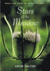 Book Cover for Stars of the Meadow by David Dalton
