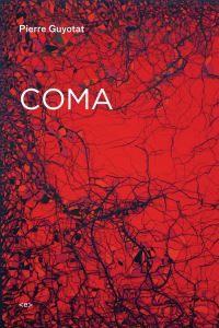 Book Cover for Coma by Pierre Guyotat, Noura Wedell