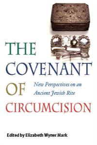 Book Cover for The Covenant of Circumcision by Elizabeth Wyner Mark