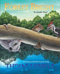 Book Cover for Forest Bright, Forest Night by Jenny Ward