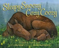 Book Cover for Sleepy Snoozy Cozy Coozy by Judy Young