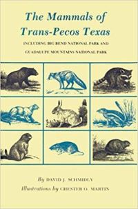 Book Cover for Mammals of Trans-Pecos Texas by David J Schmidly