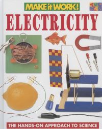 Book Cover for Electricity by Andrew Haslam