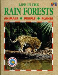 Book Cover for Life in the Rainforests by Lucy Baker