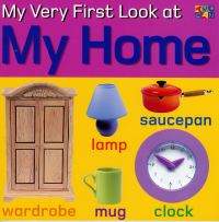 Book Cover for My Very First Look at My Home by Christiane Gunzi