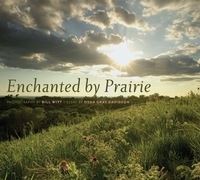 Book Cover for Enchanted by Prairie by Bill Witt, Osha Gray Davidson
