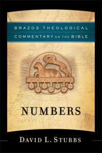 Book Cover for Numbers by David L Stubbs