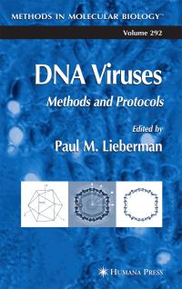 Book Cover for DNA Viruses by Paul M Lieberman
