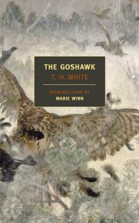 Book Cover for The Goshawk by T H White