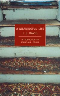 Book Cover for A Meaningful Life by L J Davis