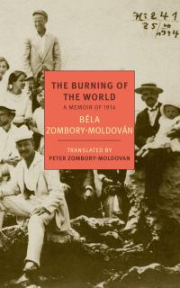 Book Cover for The Burning of the World by Béla ZomboryMoldován