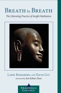 Book Cover for Breath by Breath by Larry Rosenberg, David Guy