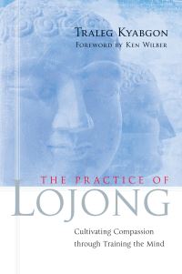 Book Cover for The Practice of Lojong by Traleg Kyabgon