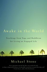 Book Cover for Awake in the World by Michael Stone