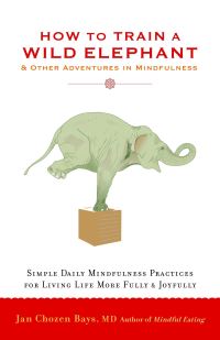 Book Cover for How to Train a Wild Elephant and Other Adventures in Mindfulness by Jan Chozen Bays