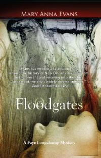 Book Cover for Floodgates by Mary Anna Evans
