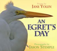 Book Cover for An Egret's Day by Jane Yolen, Jason Stemple
