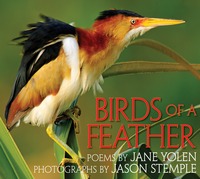 Book Cover for Birds of a Feather by Jane Yolen, Jason Stemple