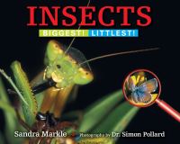 Book Cover for Insects by Sandra Markle