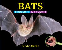 Book Cover for Bats by Sandra Markle