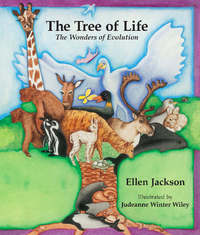 Book Cover for The Tree of Life by Ellen B Jackson, Judeanne Winter
