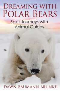 Book Cover for Dreaming With Polar Bears by Dawn Baumann Brunke