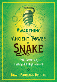 Book Cover for Awakening the Ancient Power of Snake by Dawn Baumann Brunke