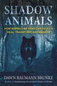 Book Cover for Shadow Animals by Dawn Baumann Brunke