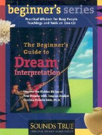 Book Cover for The Beginner's Guide to Dream Interpretation by Clarissa Pinkola Estés