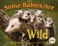 Book Cover for Some Babies Are Wild by Marion Dane Bauer