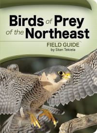 Book Cover for Birds of Prey of the Northeast Field Guide by Stan Tekiela