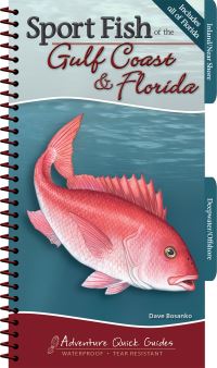 Book Cover for Sport Fish of the Gulf Coast & Florida by Dave Bosanko