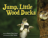 Book Cover for Jump, Little Wood Ducks by Marion Dane Bauer